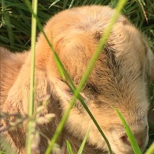 Meet your Posher, Kelsey